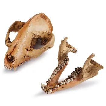 маленькая Модель черепа панды, украшение из Смолы, форма с черепом динозавра на Хэллоуин, форма для детского студенческого подарка, реквизит для учебы