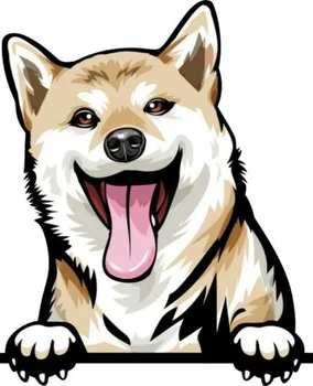 Для собаки породы ШИБА-ИНУ, Цветная наклейка на стену, окно для ноутбука с защитой